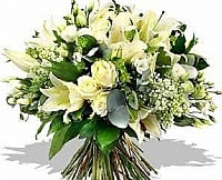 חלום בלבן חלום בלבן